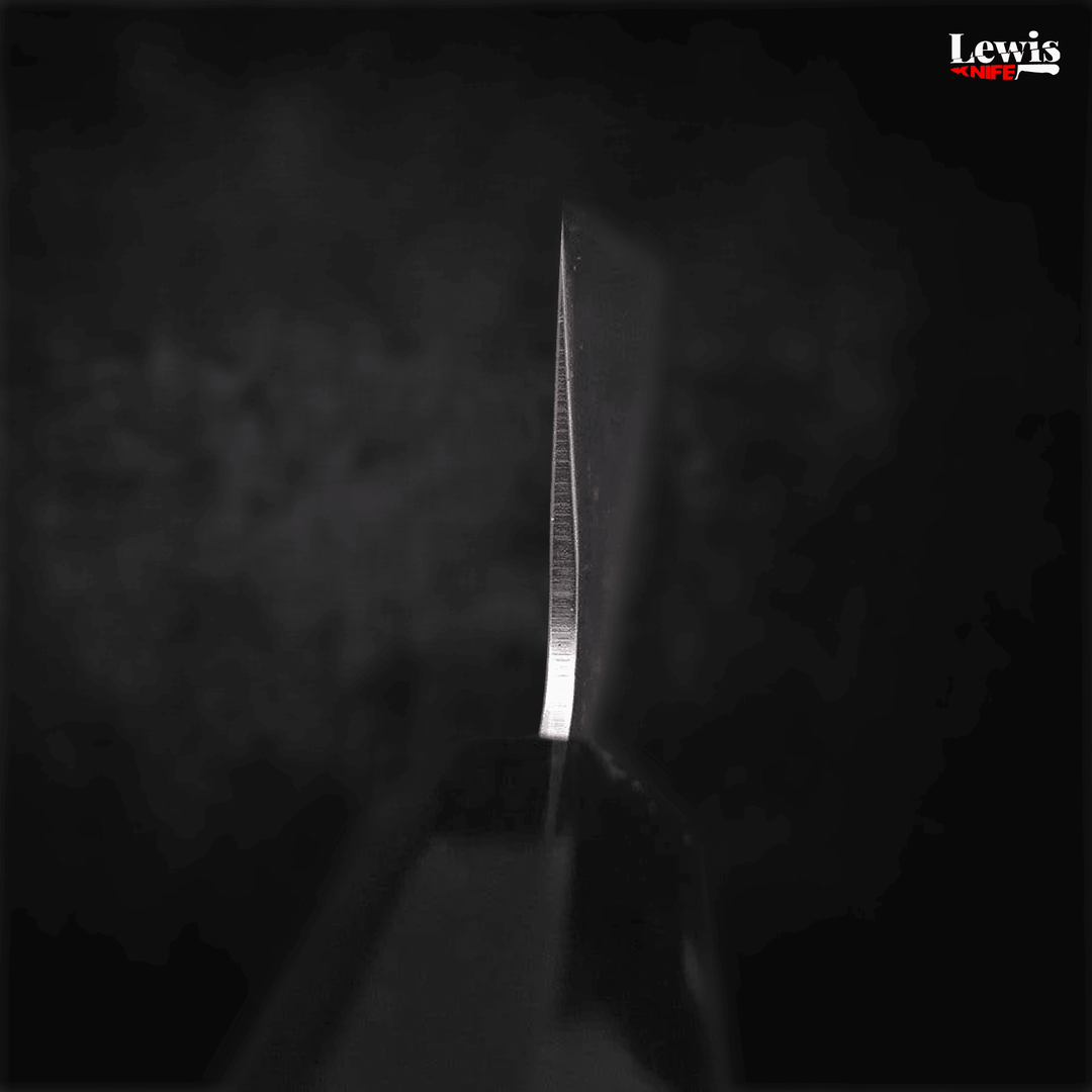 Gyuto SLD Nashiji 210mm - Lewis Knife