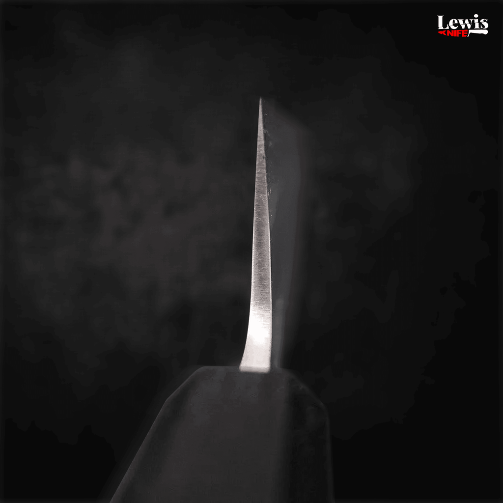 Gyuto SKD11 Nashiji Ebony Handle 210mm - Lewis Knife